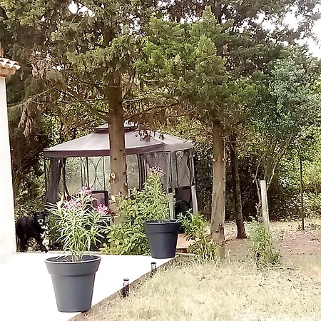 Casa vacanze Le Murmure Des Pins Villemoustaussou