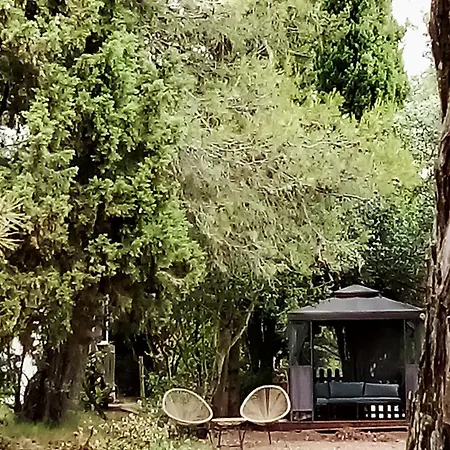 Le Murmure Des Pins Prázdninový dům Villemoustaussou